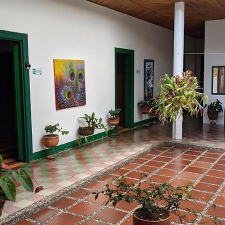 Hotel La Casa de Carola Jardín Exterior foto